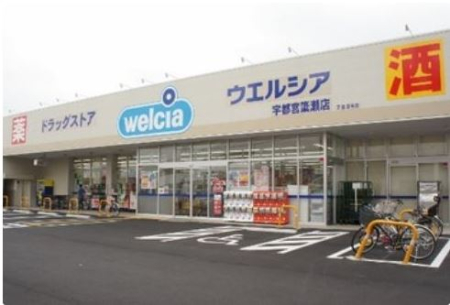 ���ӊ� �y�h���b�O�X�g�A�z�E�G���V�A �F�s�{�ʐ��Q���X�܂�1272��