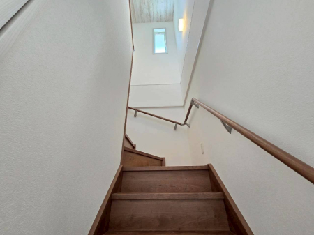 ���̑����� -