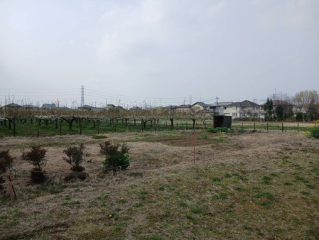 ���} 747�u�̍L���~�n�ł��B�傫�ȕ~�n�𗘗p���Ă��D���Ȃ��Ƃ����Ă��܂��B�܂���������̂��ǂ��ȗ��n�ł��B