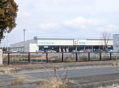 ���ӊ� �y�h���b�O�X�g�A�z�J���`��i ����c�X�܂�1722��