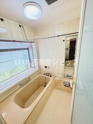 ���� �y����/���n�ʐ^�z���邢�������̓��闁���͑傫�ȑ��ɁA�V��������J����������������Ɗ����܂�