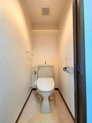 �g�C�� -