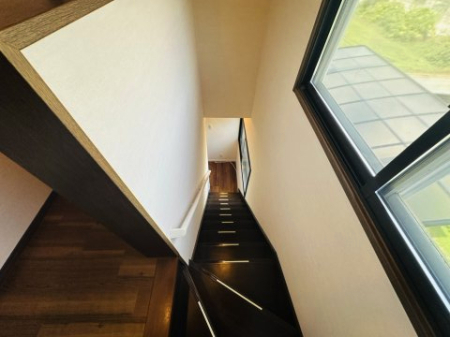 ���̑����� -