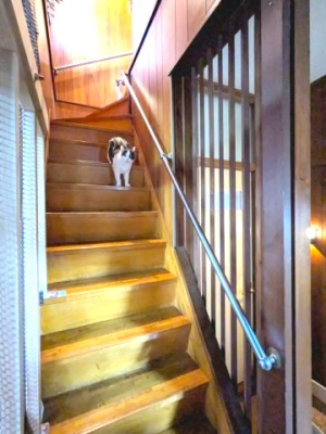 ���̑����� -
