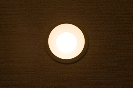 ���̑� �_�E�����C�g�i�ʐ^�͓��d�l�ʐ^�j