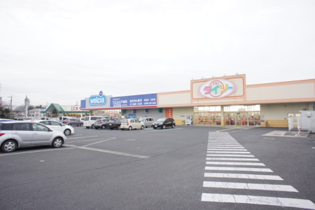 ���ӊ� �y�����G�ݓX�z�U�E�_�C�\�[���R�H��V���b�s���O���[���X�܂�1801��